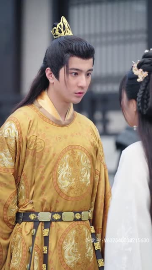 报告王爷王妃她又开挂了（98集）爱短剧爱追剧