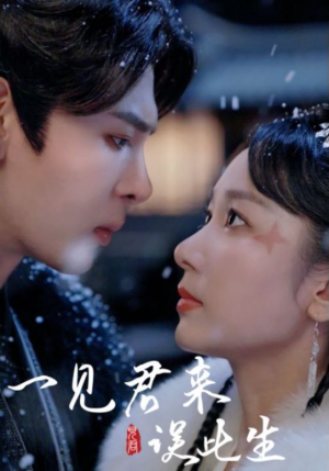 一见君来误此生（95集）好看短剧推荐