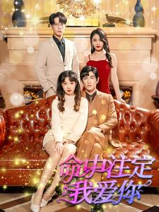 命中注定我爱你(99集) 命中注定我爱你(99集)最热门短剧来了