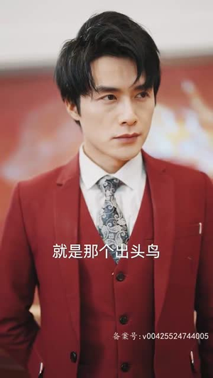 (玄门之主) (玄门之主)免费短剧合集