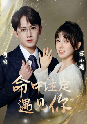 命中注定遇见你（96集）亿万短剧抢先看