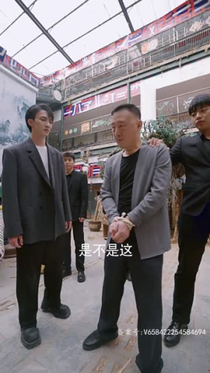 一飞冲天，神眼天医（90集）高清画质免费看