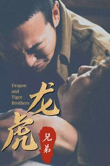 龙虎兄弟（80集）短剧热门推荐