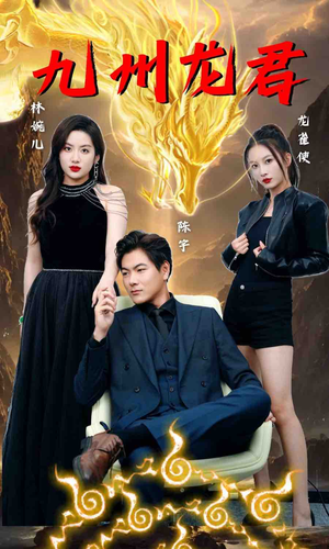 九州龙君（46集）全集一网打尽