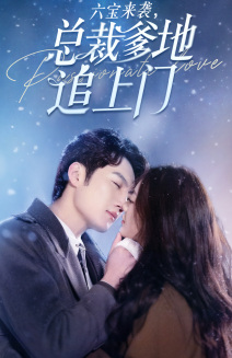 六宝来袭总裁爹地追上门(79集) 六宝来袭总裁爹地追上门(79集)免费看全网短剧