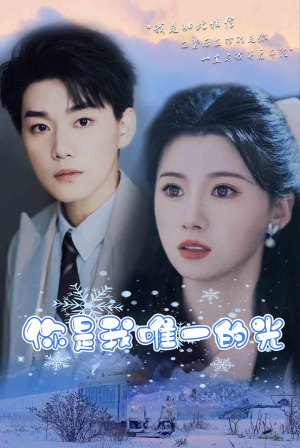 你是我唯一的光(95集) 你是我唯一的光(95集)免费短剧全集看
