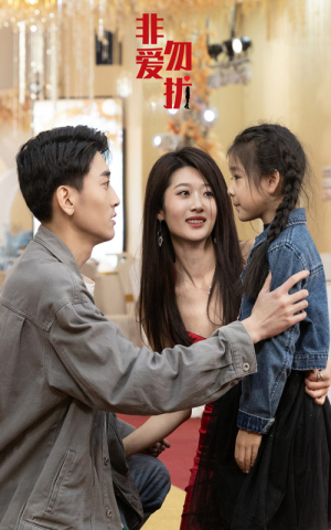 非爱勿扰(92集) 非爱勿扰(92集)真的太好看了