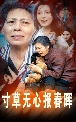 孝子慈孙(31集) 孝子慈孙(31集)看短剧放松一下