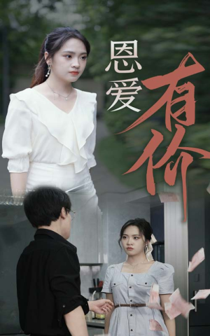 恩爱有价（31集）解说