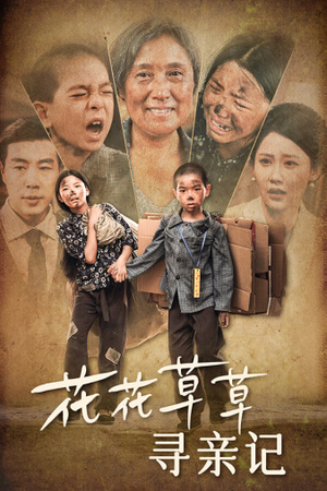 花花草草寻亲记(42集) 花花草草寻亲记(42集)哪个短剧网能看