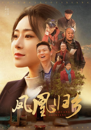 凤凰归乡(33集) 凤凰归乡(33集)热门短剧榜单