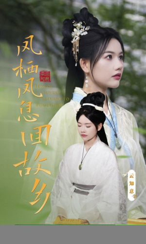 凤栖凤息回故乡(36集) 凤栖凤息回故乡(36集)独家资源免费看