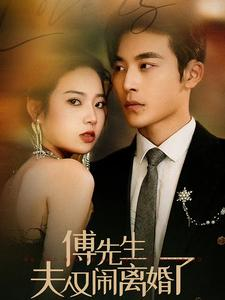 傅先生夫人又闹离婚了(80集) 傅先生夫人又闹离婚了(80集)海量资源免费看