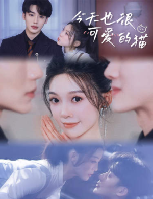 今天也很可爱的猫(72集) 今天也很可爱的猫(72集)推荐热门短剧