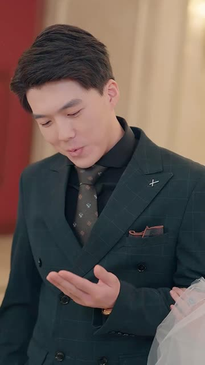 离婚当天商界大佬身份曝光了（95集）贝贝短剧分享