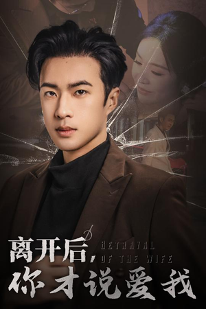 离开后,你才说爱我(30集) 离开后,你才说爱我(30集)高清画质免费看