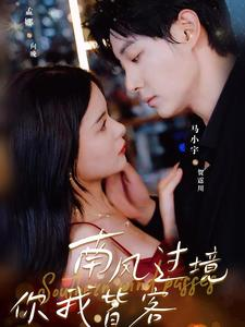 南风国境你我皆客(80集) 南风国境你我皆客(80集)一个短剧看全集