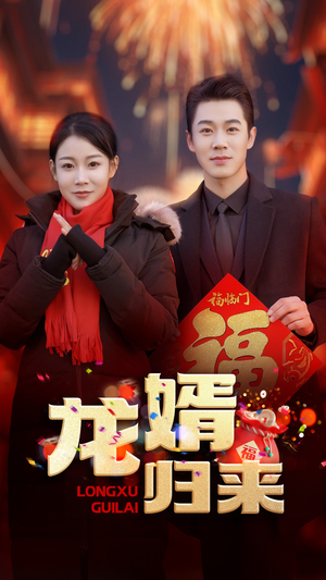 龙婿归来（27集）短剧有好货推荐