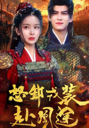 怒卸戎装赴凰途(70集) 怒卸戎装赴凰途(70集)经典老剧免费看