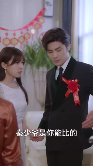 女总裁的豪龙医婿（99集）深深爱上这部剧