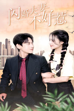 闪婚夫妻不好惹(90集) 闪婚夫妻不好惹(90集)在哪个平台看