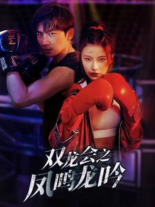 双龙会之凤鸣龙吟(80集) 双龙会之凤鸣龙吟(80集)热门短剧在线看