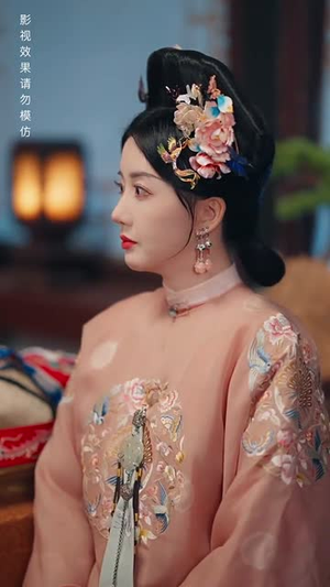 清宫辞之不负韶华（64集）追短剧关注我