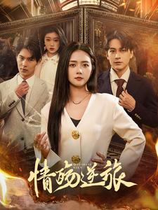 情殇逆旅(90集) 情殇逆旅(90集)最后一集