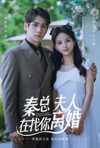 秦总,夫人在找你离婚(79集) 秦总,夫人在找你离婚(79集)追短剧关注我