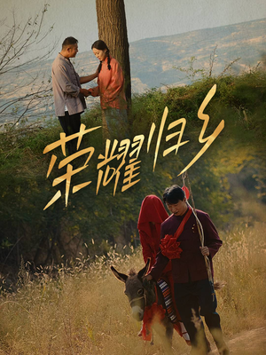 荣耀归乡（64集）在线免费观看