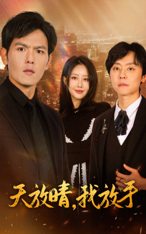 天放晴，我放手（35集）百度网盘在线看