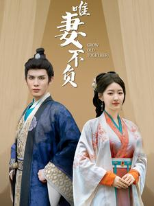 唯妻不负(80集) 唯妻不负(80集)排行榜前十短剧