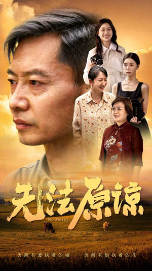 无法原谅（45集）评价怎么样