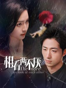 相看两不厌(80集) 相看两不厌(80集)全集