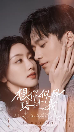 想你似风路过我（40集）最新上映的短剧
