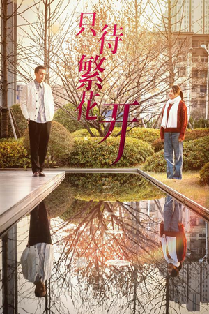 只待繁花开(35集) 只待繁花开(35集)火爆短剧来袭