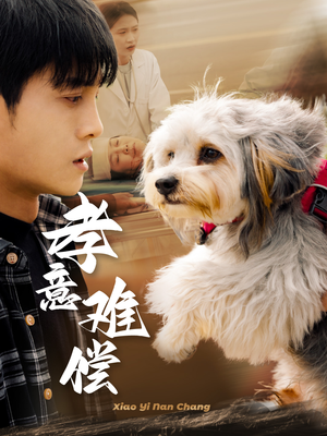 孝意难偿（32集）夸克网盘在线看