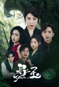 寻玉(77集) 寻玉(77集)第一季