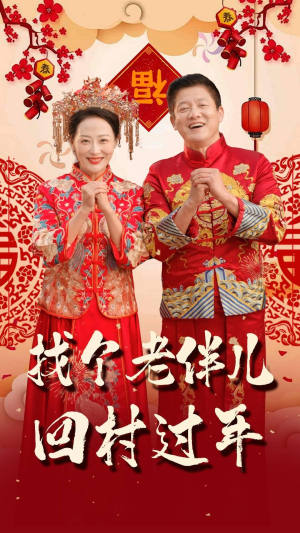 找个老伴儿回村过年(58集) 找个老伴儿回村过年(58集)经典老剧免费看