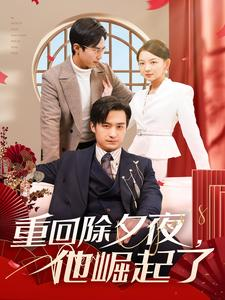 重回除夕夜他崛起了(89集) 重回除夕夜他崛起了(89集)最火爆的短剧