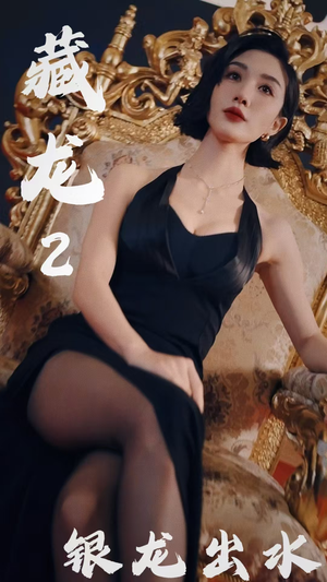 藏龙2银龙出水(35集) 藏龙2银龙出水(35集)经典回顾免费看