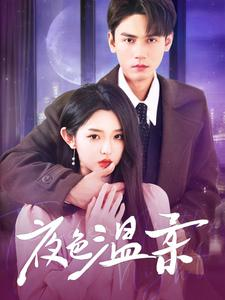 夜色温柔(98集) 夜色温柔(98集)甜宠短剧推荐
