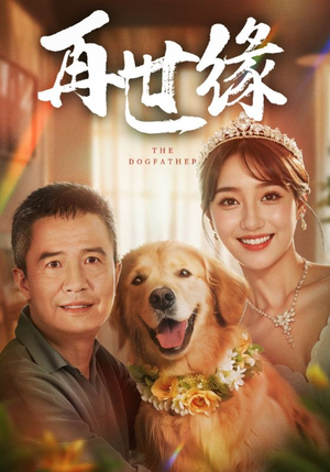 再世缘（41集）一口气看完