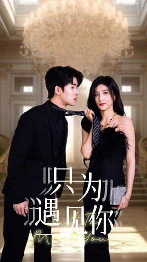 只为遇见你(88集) 只为遇见你(88集)经典回顾免费看