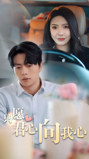 只愿君心向我心（31集）全集