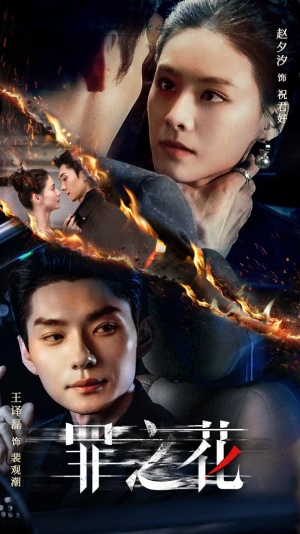 罪之花（56集）热播短剧排行榜
