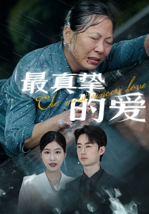 最真挚的爱（76集）网络小短剧