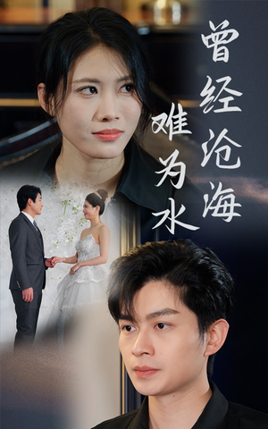 曾经沧海难为水(30集) 曾经沧海难为水(30集)热播短剧推荐
