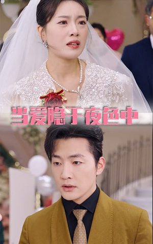 当爱隐于夜色中(37集) 当爱隐于夜色中(37集)热门短剧抢先看