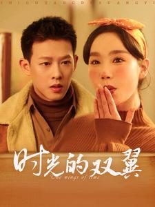 时光的双翼(94集) 时光的双翼(94集)好看短剧推荐